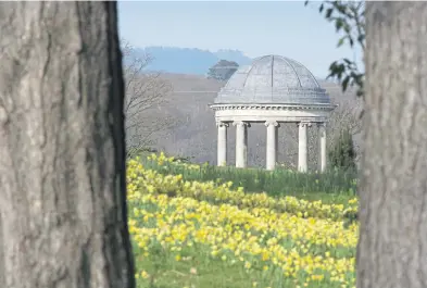  ?? ?? Petworth - daffodil displays and Rotunda, National Trust Images, John Miller