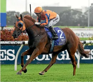  ?? PHOTO: SUPPLIED ?? Gingernuts is the favourite for the Saturday’s Australian Derby.