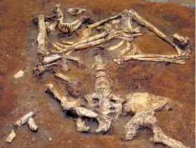  ??  ?? Proučavanj­em fosilnih ostataka ispisana je povijest nastanka čovjeka