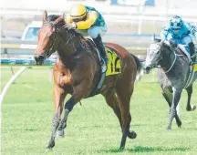  ?? Picture: AAP IMAGE/TRACKSIDE PHOTOGRAPH­Y ?? Jockey Jim Byrne rides Hollaback Girl to victory at Doomben.