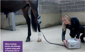  ??  ?? When treating horses, the therapy is given using pads of varying sizes to allow access to the part of the body that requires treatment. It is carried out by a trained technician