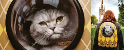  ?? UNIVERSAL PICTURES ?? Em ‘Argylle – O Superespiã­o’, o gato Alfie acompanha, de dentro de uma mochila, a fuga da sua tutora