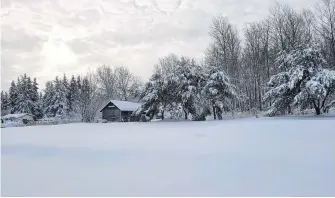  ??  ?? This was the scene Monday morning outside Salina Bertin’s window in Lorne, N.B. Mother Nature was playing favourites — the weekend storm whitened the landscape in some parts of Atlantic Canada, while others enjoyed a free carwash.