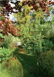  ??  ?? Top: Bamboo foliage contrasts with red Cornus stems. Left: A white bench makes a focal point at the end of the path.