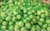  ?? PHOTOS BY RICH FREEDMAN — TIMES-HERALD ?? Apples by the thousands are delivered by the Contra Costa/ Solano Food Bank truck every Monday and Thursday.