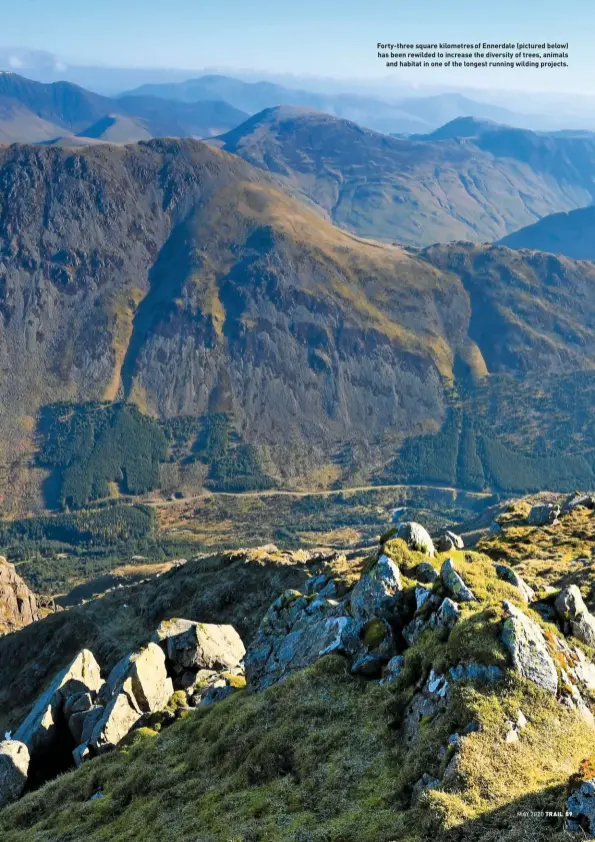  ??  ?? Forty-three square kilometres of Ennerdale (pictured below) has been rewilded to increase the diversity of trees, animals and habitat in one of the longest running wilding projects.