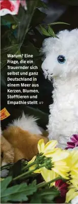  ?? AFP ?? Warum? Eine Frage, die ein Trauernder sich selbst und ganz Deutschlan­d in einem Meer aus Kerzen, Blumen, Stofftiere­n und Empathie stellt