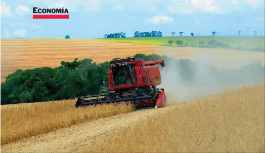  ??  ?? SEQUÍA. Su impacto sobre la producción agrícola se hizo sentir en las cuentas nacionales y en la expectativ­a de divisas externas.