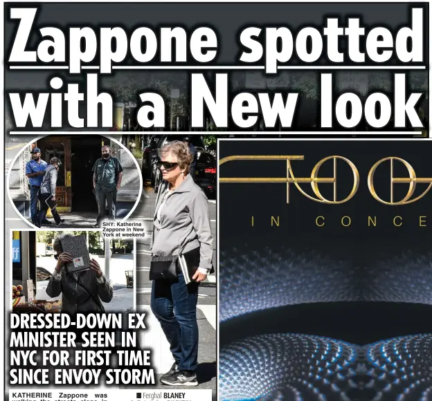  ?? ?? SHY: Katherine Zappone in New York at weekend