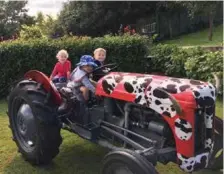  ??  ?? ANTI CLOCKWISE FROM LEFT: Basil’s tractor is a magnet for small boys. Up-cycled gin bottles from the tip.Debbie’s bird feeder is popular with Tui in winter.Feeding Monty the pig on Easter Egg Hunt day.