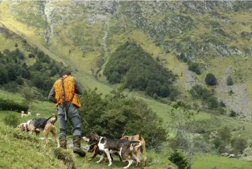  ??  ?? Dans le Massif central comme dans les Pyrénées, bref en montagne en général, la notion d’angle de tir est souvent relative. Une pratique qui s’explique notamment par la typologie des enceintes chassées, très vastes et au relief accidenté.