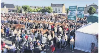  ??  ?? PLAINTEL. 15 000 visiteurs sont attendus pour l’événement.