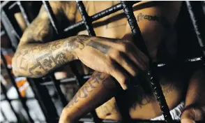  ?? JAN SOCHOR / LATINCONTE­NT / GETTY IMAGES FILES ?? Tattooed MS-13 gang members are seen behind bars at a San Salvador detention centre in 2013.