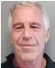  ??  ?? Jeffrey Epstein