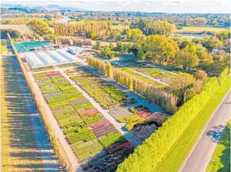  ??  ?? The Sunshine Environmen­tals nursery in Aokautere, Manawatu, was establishe­d in 1975 and is now for sale.