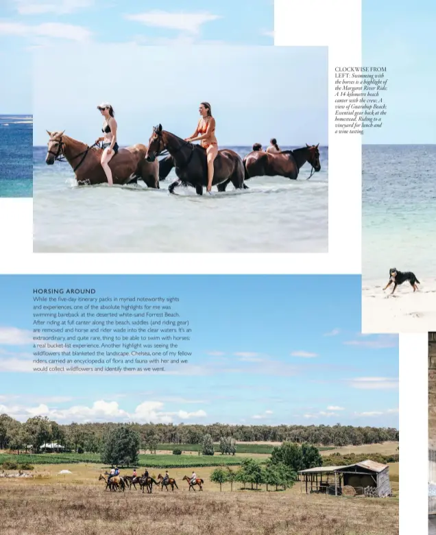  ??  ?? CLOCKWISE FROM LEFT: Swimming with the horses is a highlight of the Margaret River Ride; A 14-kilometre beach canter with the crew; A view of Gnarabup Beach; Essential gear back at the homestead; Riding to a vineyard for lunch and a wine tasting.