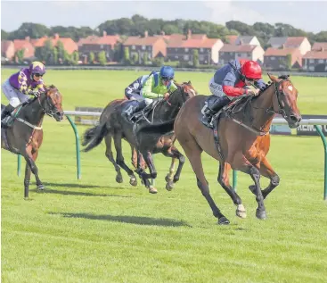  ??  ?? Course specialist Nicholas T on the way to yet another victory at Ayr on Monday