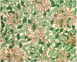  ??  ?? May’s best-known wallpaper for Morris & Co, Honeysuckl­e