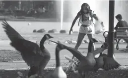  ?? Tribune News Service/los Angeles Times ?? Zyair Ayanna watches with surprise as her dog, Milo, starts running after geese at Echo Park Lake on Sept. 5.