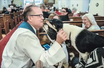  ?? JOHN RENNISON THE HAMILTON SPECTATOR ?? Blessing of the Animals, Sept. 30, 10 to 11:30 a.m. Grace Anglican Church, 157 Mill St. N., Waterdown. Please join us with your pet, leashed or in a carrier, as we celebrate the great blessing that animals are in our lives and in all creation. 689-6715