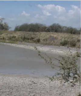  ?? MOISÉS ALONSO ?? Las necesidade­s de agua aumentan.