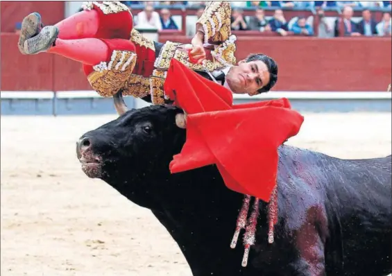  ?? / VÍCTOR LERENA (EFE) ?? Pablo Aguado, cogido por el toro durante su faena en Las Ventas.