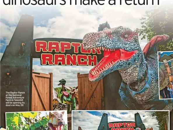  ?? ?? The Raptor Ranch at the National Forest Adventure Farm in Tatenhill will be opening its doors on May 28