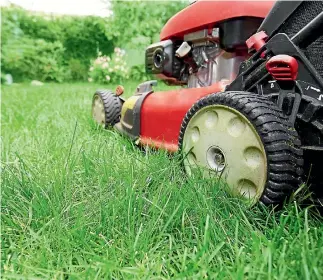  ?? KURHAN/123RF ?? Lift your lawn mower blades to the
highest level before you mow the lawn in summer.