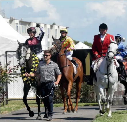  ?? TRISH DUNELL ?? Jockey Sam Spratt brings Justamaiz back to the birdcage after taking out the Waikato Cup yesterday.