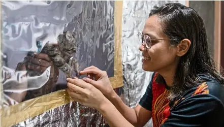  ?? — Reuters ?? Hello, kitty: Jan bonding with her family’s cat from behind the small plastic window of the makeshift isolation tent erected outside their home in Quezon City, Philippine­s.