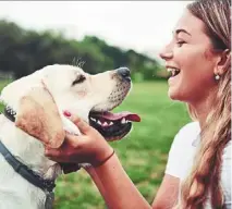  ?? — 123rf.com ?? When dogs were reunited with their owners after five
to seven hours of separation, they significan­tly increased tear production in the ensuing five minutes, researcher­s found.