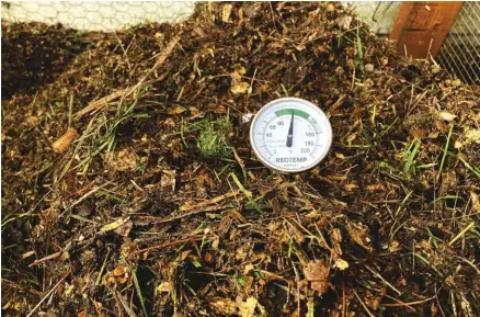  ??  ?? A good temperatur­e range for active compost is 100 to 150 degrees Fahrenheit.