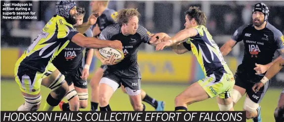  ??  ?? Joel Hodgson in action during a superb season for Newcastle Falcons