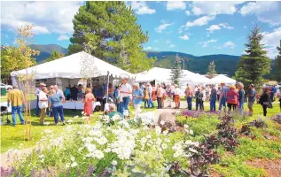  ?? COURTESY OF ANGEL FIRE RESORT ?? Attendees enjoy an outdoor Wine & Wagyu event at Angel Fire Resort.