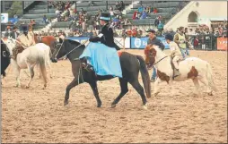  ??  ?? DE A CABALLO. Esta semana comenzaron algunas actividade­s con equinos en pista central, sin embargo los platos fuertes se reservan para la próxima con las juras y clasificac­iones.