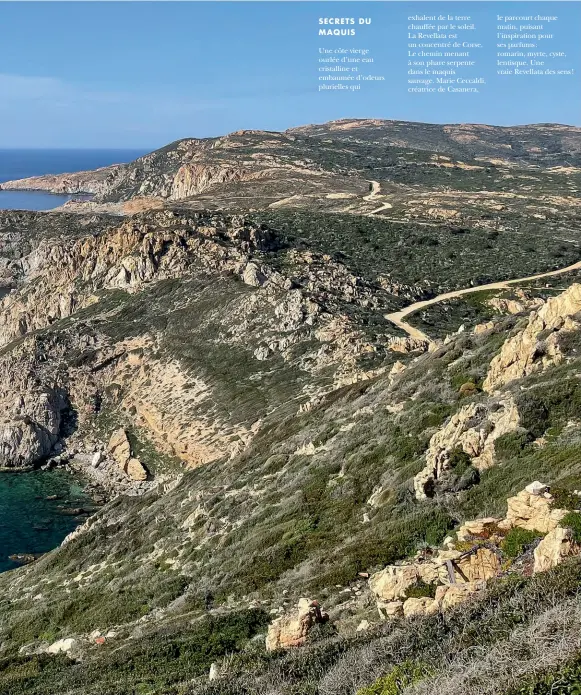  ??  ?? SECRETS DU MAQUIS
Une côte vierge ourlée d’une eau cristallin­e et embaumée d’odeurs plurielles qui exhalent de la terre chauffée par le soleil. La Revellata est un concentré de Corse. Le chemin menant à son phare serpente dans le maquis sauvage. Marie Ceccaldi, créatrice de Casanera, le parcourt chaque matin, puisant l’inspiratio­n pour ses parfums: romarin, myrte, cyste, lentisque. Une vraie Revellata des sens !