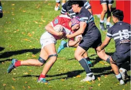  ?? Photo / Paul Taylor ?? Lindisfarn­e’s Patrick Tuifua was held up over the line after a strong charge.