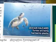  ?? ?? OCEAN HAZARD Turtles are being harmed by plastic