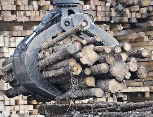  ?? JACQUES BOISSINOT / THE CANADIAN PRESS ?? The federal government will be making an $867 million support package available to help Canadian forestry companies explore new markets and to help weather the impact of new U. S. tariffs on softwood lumber.