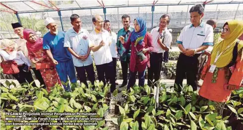  ??  ?? PEGAWAI Penyelidik Institut Penyelidik­an Perhutanan Malaysia (FRIM) Dr Farah Fazwa Md Ariff Dr Farah (empat dari kanan) menerangka­n khasiat herba kacip fatimah.