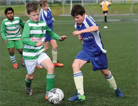  ??  ?? Mark McCarthy, Killarney Celtic, in action against Killorglin B’s Shane Clifford in the Kerry Schoolboys League U-12 Division 1 at Celtic Park, Killarney on Sunday. Photo by Michelle Cooper Galvin