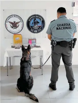  ?? ESPECIAL ?? Binomio canino en acción en el Estado de México.