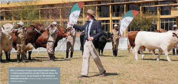  ?? ANDERS VERMELD) FOTO’S: CHARL VAN ROOYEN (TENSY ?? Mnr. Llewellyn Angus beoordeel bulle tydens ’n interrasko­mpetisie op die Pretoria-skou. Hy voorspel skoue se aard gaan in die toekoms heelwat verander.