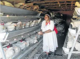  ?? Picture: ZIYANDA ZWENI ?? PROTEIN POWERHOUSE: Sisanda co-op member Nontsapho Ntlawuzana shows off a clutch of eggs courtesy of 1,200 hens donated to the co-op by the OR Tambo district municipali­ty.