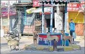  ??  ?? Stray dogs in Prayagraj.