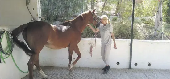  ?? Foto: Privat ?? Brigitte Alfaro hat am Gnadenhof Todos los Caballos del Mundo eine neue Aufgabe gefunden.