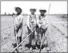  ?? ?? An ugly part of our early history, slaves were used to provide the hard labor required to make a crop. After the Civil War, sharecropp­ers received between 25%-50% of a crop. These boys chopped cotton in Poinsett County.