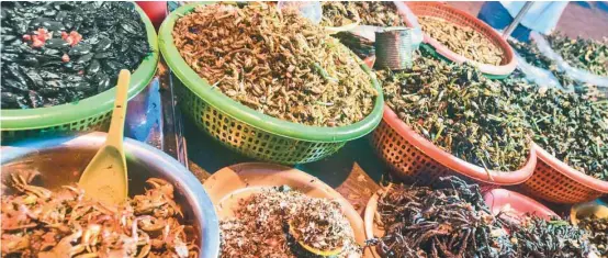  ?? PHOTOS ISTOCK ?? Les insectes sont prisés au Vietnam, un pays qui compte plus de 20 000 fermes d’élevage de grillons.