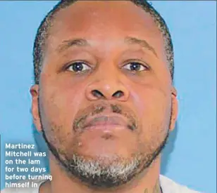  ??  ?? Martinez Mitchell was on the lam for two days before turning himself in
and booked into the Denney Juvenile Justice Center for investigat­ion of first-degree assault.
Meanwhile, Mitchell was charged with first-degree assault of a child with a weapon and violating parole.