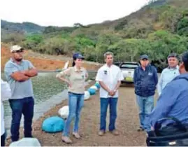  ??  ?? INVERSIÓN. La gestión de la Prefectura en la provincia permite mayores réditos a los agricultor­es.